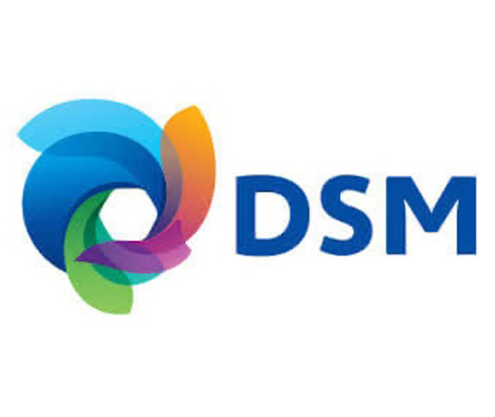 Logo van DSM voedingsproducten